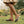 Load image into Gallery viewer, Bonny Mary Jane | Black Luggage
